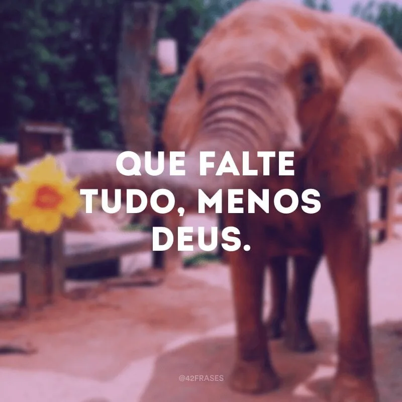  Que falte tudo, menos Deus.