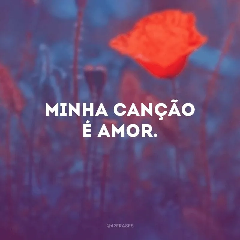 Minha canção é amor.