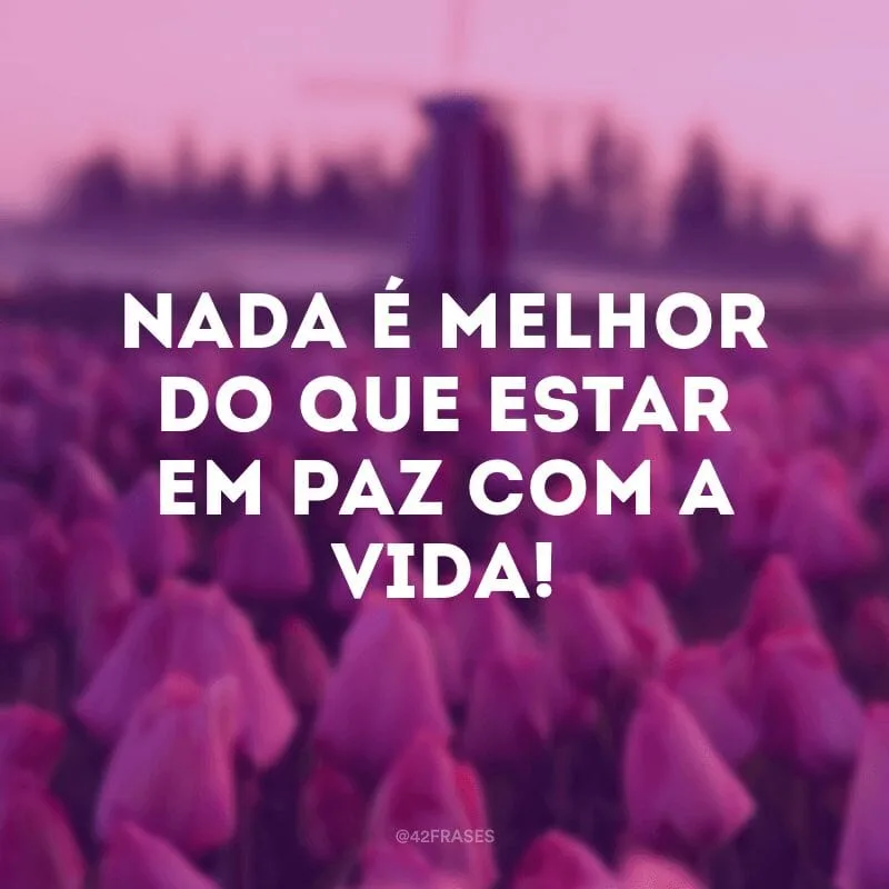Nada é melhor do que estar em paz com a vida!