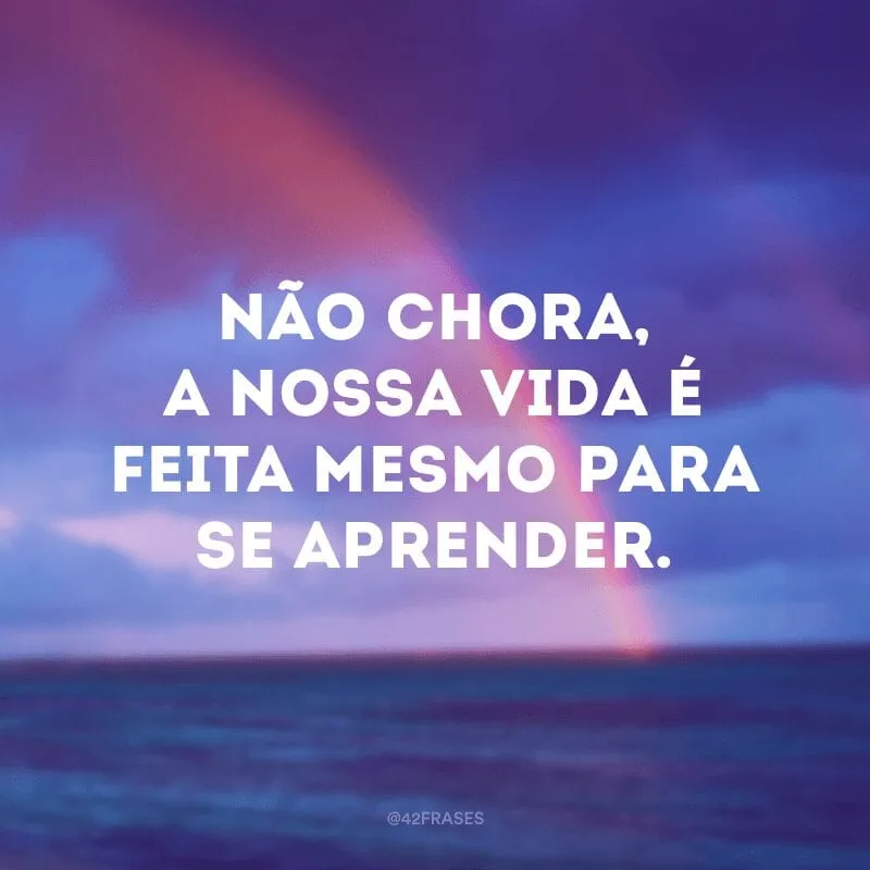 Não chora, a nossa vida é feita mesmo para se aprender.
