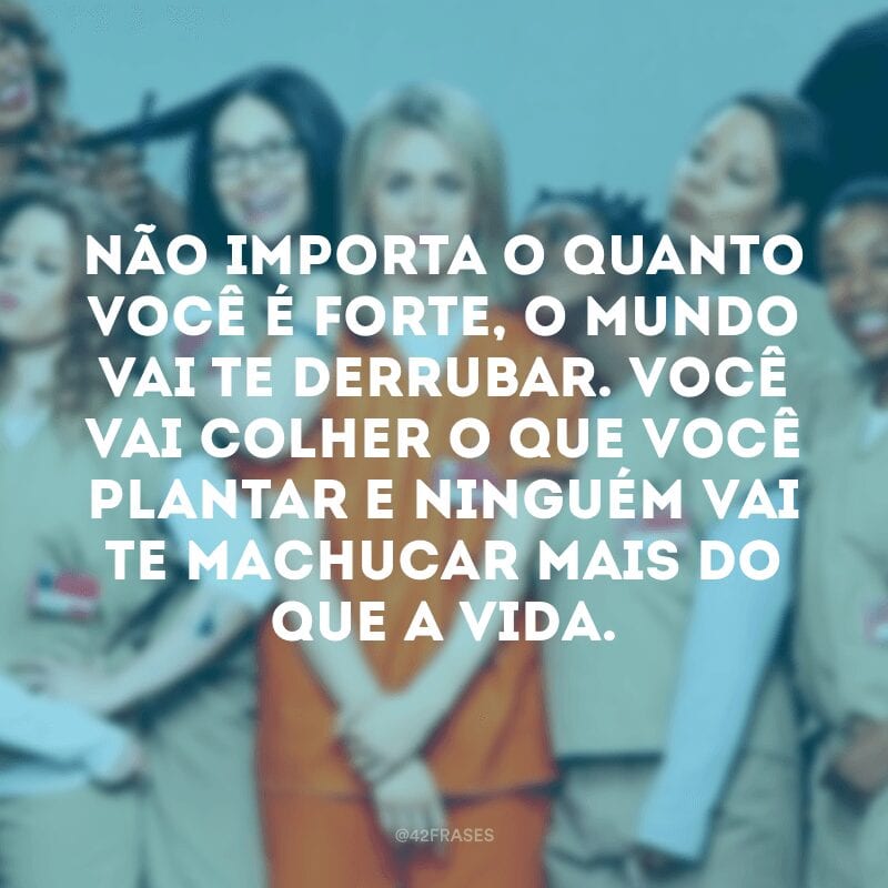 Não importa o quanto você é forte, o mundo vai te derrubar. Você vai colher o que você plantar e ninguém vai te machucar mais do que a vida.