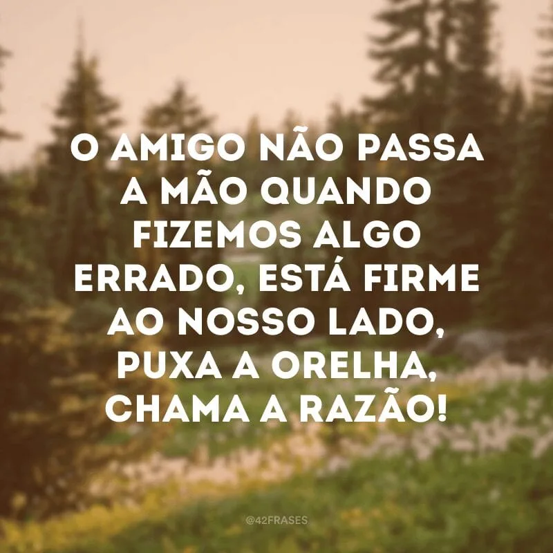 O amigo não passa a mão quando fizemos algo errado, está firme ao nosso lado, puxa a orelha, chama a razão! 