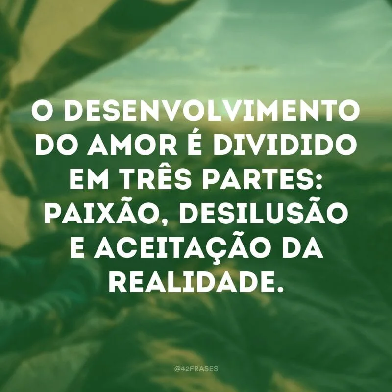 O desenvolvimento do amor é dividido em três partes: paixão, desilusão e aceitação da realidade.