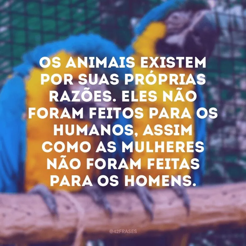 Os animais existem por suas próprias razões. Eles não foram feitos para os humanos, assim como as mulheres não foram feitas para os homens.