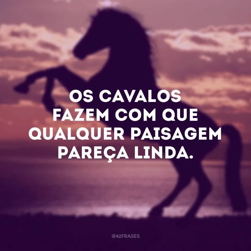 Os cavalos fazem com que qualquer paisagem pareça linda.