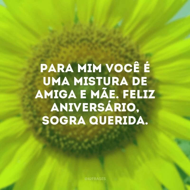 Para mim você é uma mistura de amiga e mãe. Feliz aniversário, sogra querida.