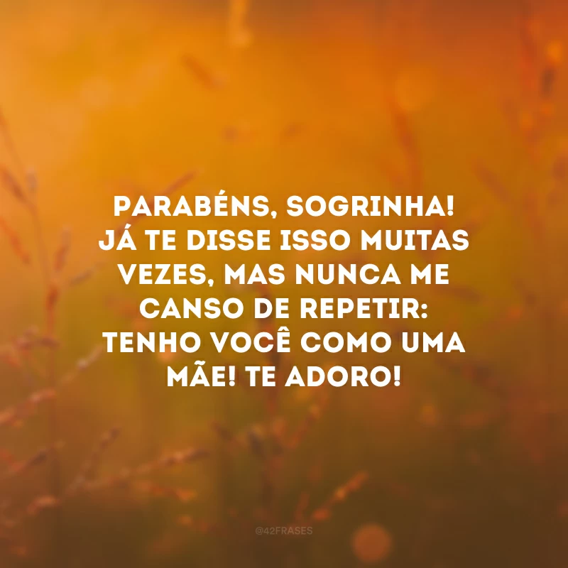 Parabéns, sogrinha! Já te disse isso muitas vezes, mas nunca me canso de repetir: tenho você como uma mãe! Te adoro!
