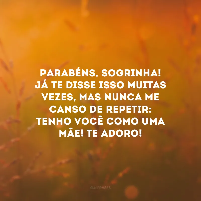 Parabéns, sogrinha! Já te disse isso muitas vezes, mas nunca me canso de repetir: tenho você como uma mãe! Te adoro!
