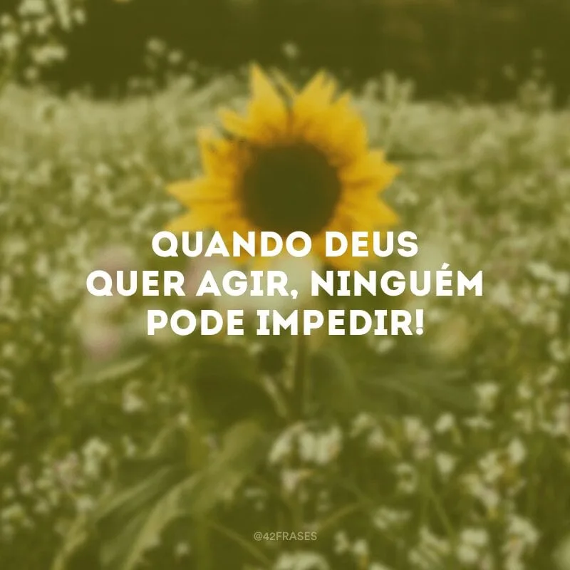 Quando Deus quer agir, ninguém pode impedir! 