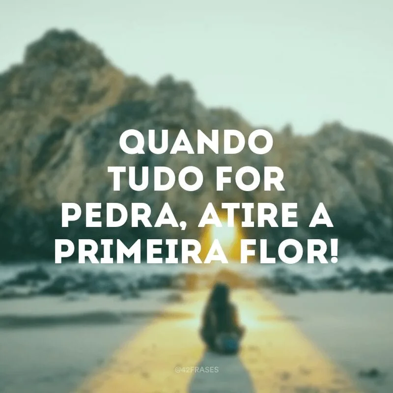 Quando tudo for pedra, atire a primeira flor!
