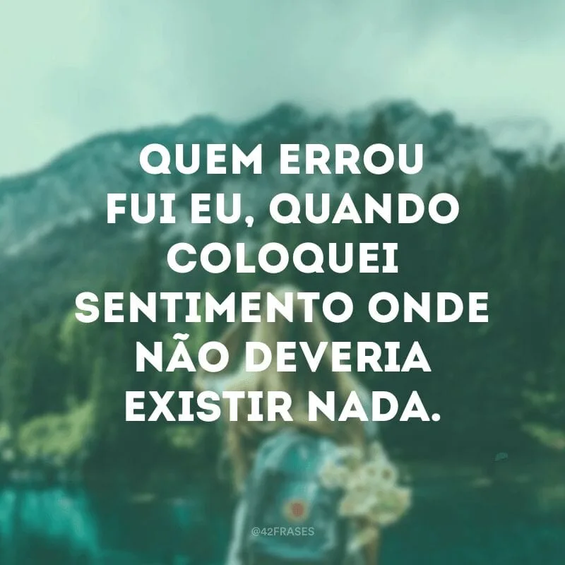 Quem errou fui eu, quando coloquei sentimento onde não deveria existir nada. 