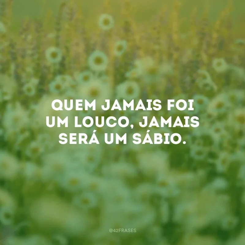 Quem jamais foi um louco, jamais será um sábio.