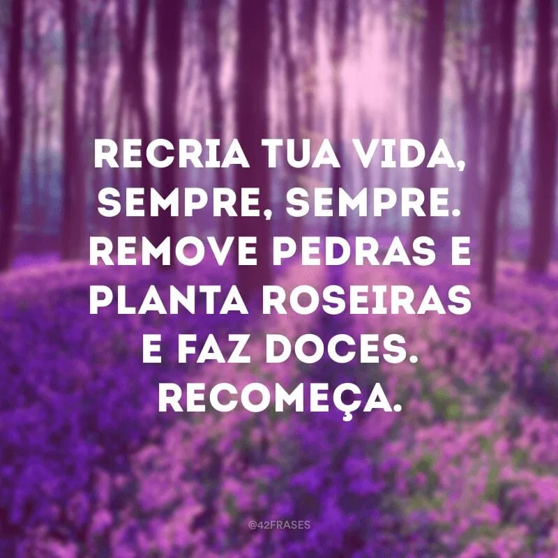 Recria tua vida, sempre, sempre. Remove pedras e planta roseiras e faz doces. Recomeça.