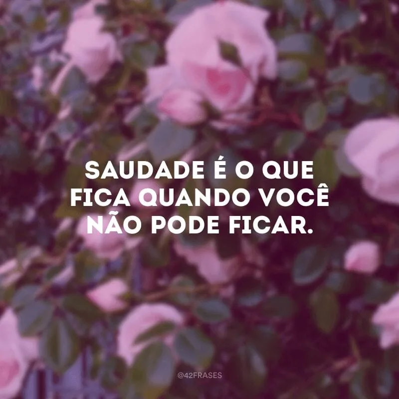 Saudade é o que fica quando você não pode ficar.