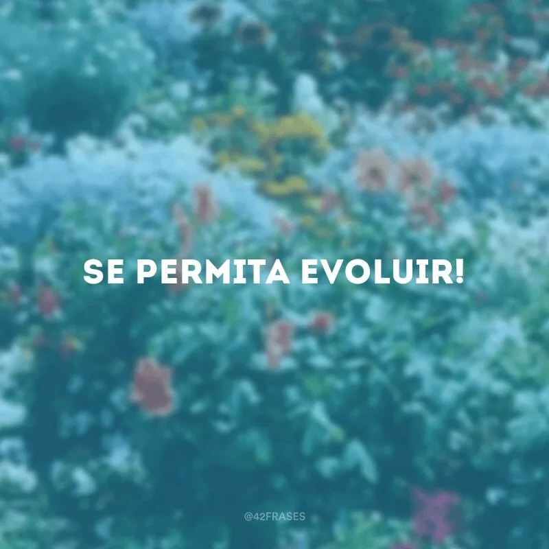 Se permita evoluir!