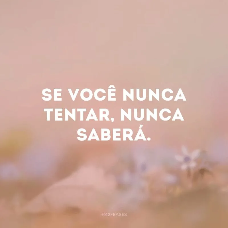 Se você nunca tentar, nunca saberá.