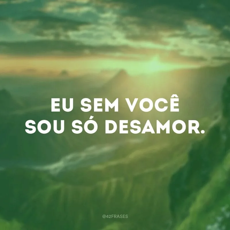 Eu sem você sou só desamor.