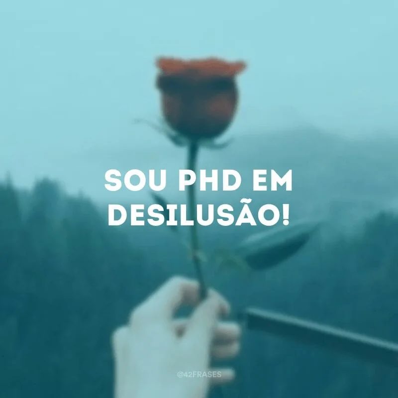 Sou PhD em desilusão!