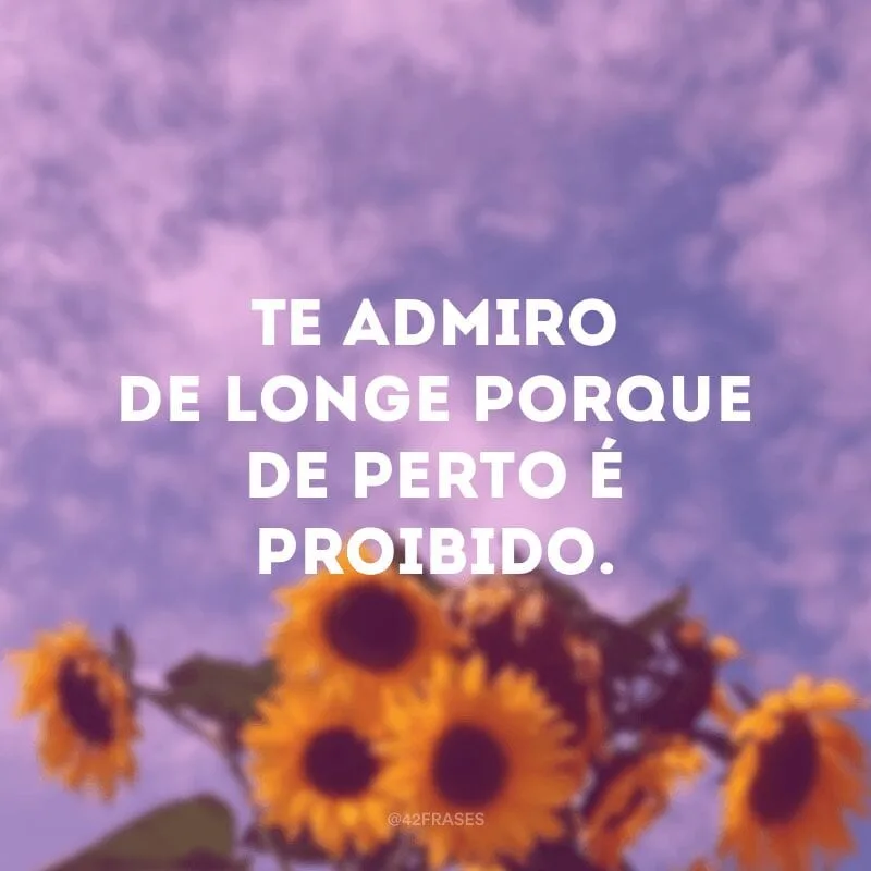Te admiro de longe porque de perto é proibido.