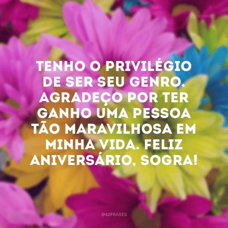Tenho o privilégio de ser seu genro. Agradeço por ter ganho uma pessoa tão maravilhosa em minha vida. Feliz aniversário, sogra!
