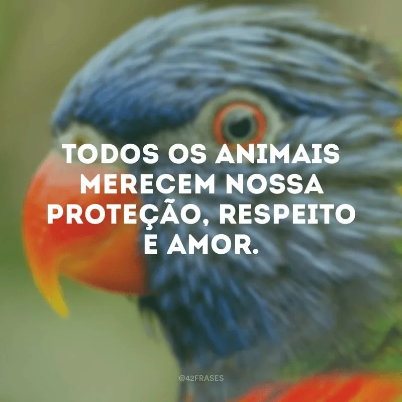 Todos os animais merecem nossa proteção, respeito e amor.