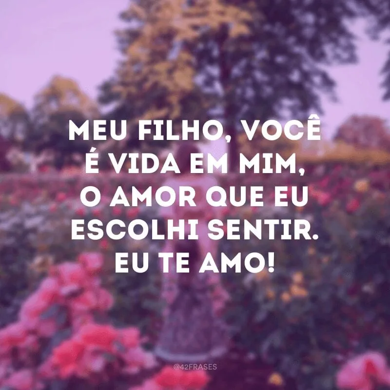 Meu filho, você é vida em mim, o amor que eu escolhi sentir. Eu te amo!