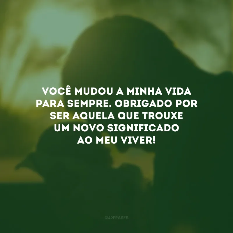 Você mudou a minha vida para sempre. Obrigado por ser aquela que trouxe um novo significado ao meu viver!