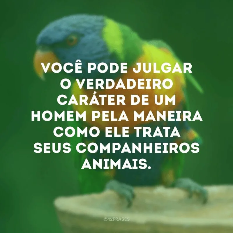 Você pode julgar o verdadeiro caráter de um homem pela maneira como ele trata seus companheiros animais.