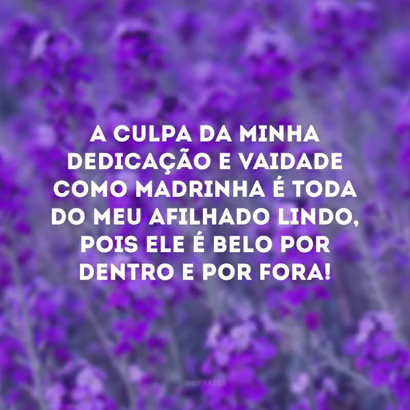 A culpa da minha dedicação e vaidade como madrinha é toda do meu afilhado lindo, pois ele é belo por dentro e por fora!