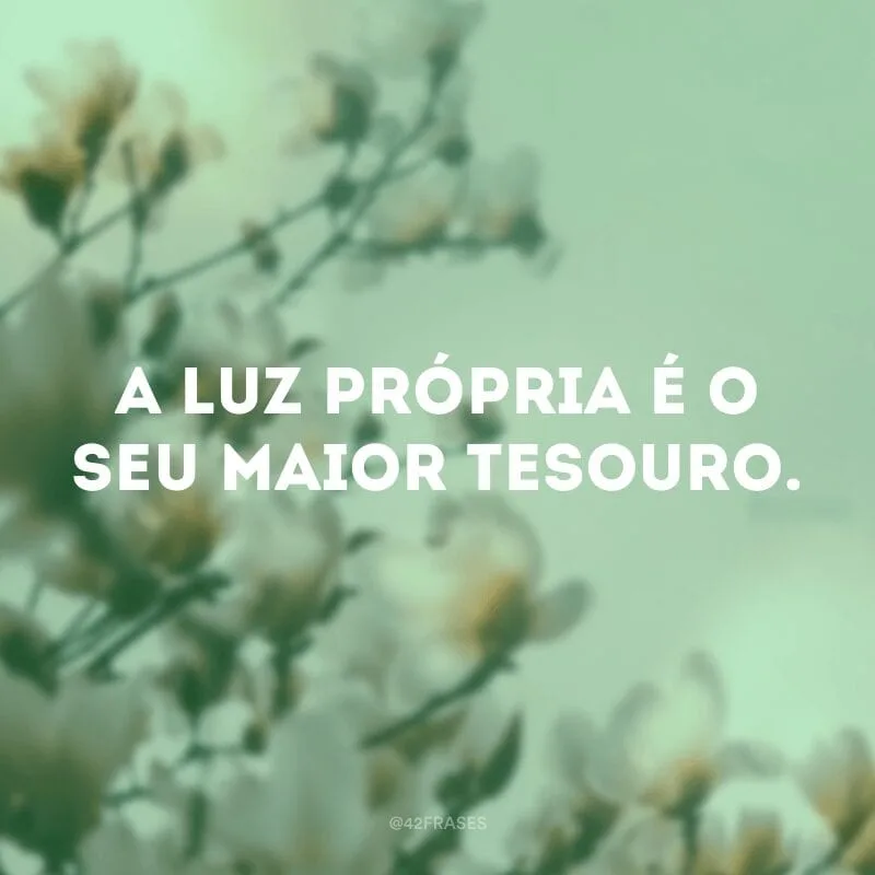 A luz própria é o seu maior tesouro.