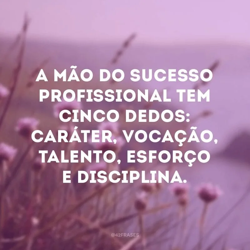 A mão do sucesso profissional tem cinco dedos: caráter, vocação, talento, esforço e disciplina.