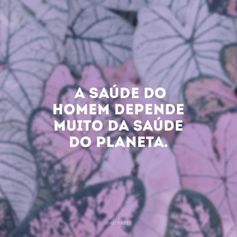  A saúde do homem depende muito da saúde do planeta.