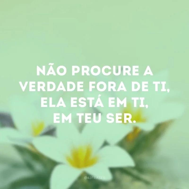 Não procure a verdade fora de ti, ela está em ti, em teu ser.