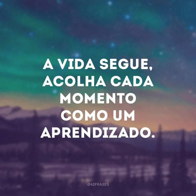 A vida segue, acolha cada momento como um aprendizado.