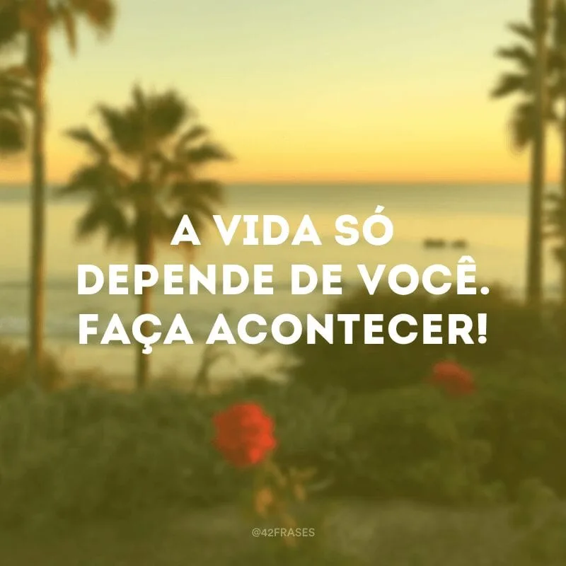 A vida só depende de você. Faça acontecer!