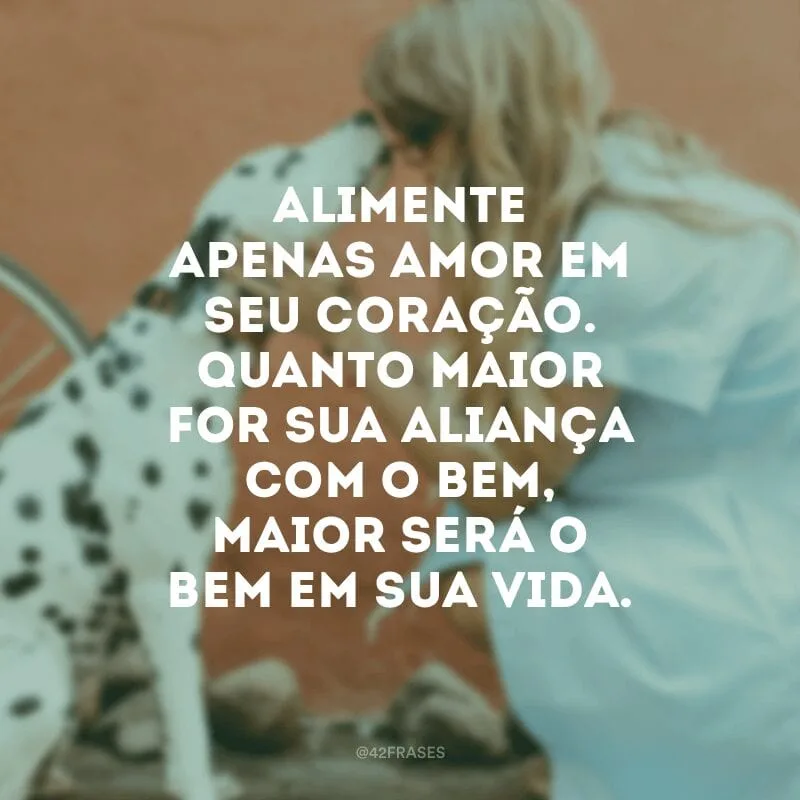 Alimente apenas amor em seu coração. Quanto maior for sua aliança com o bem, maior será o bem em sua vida.
