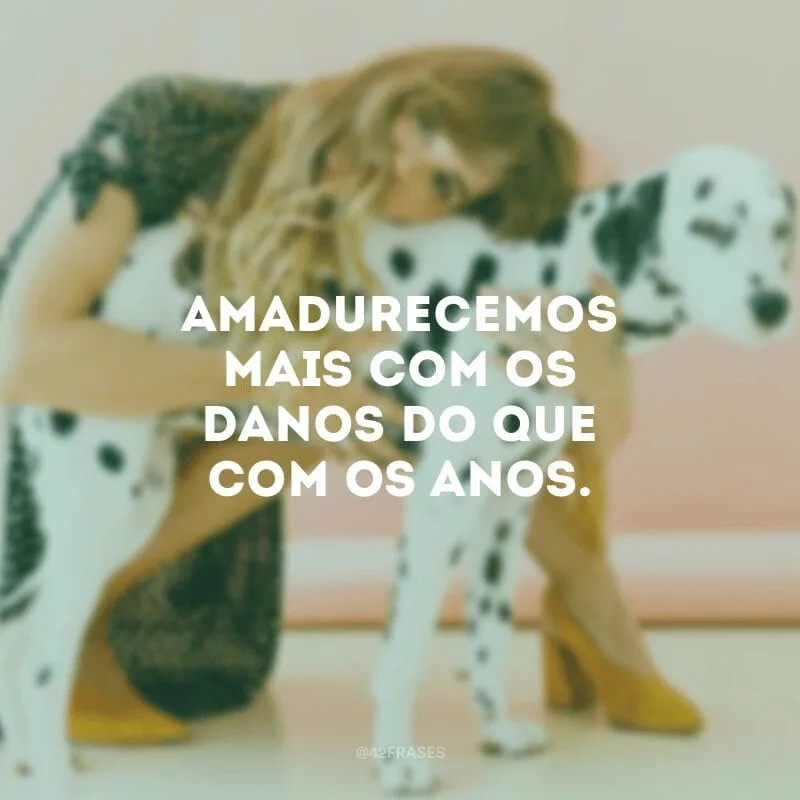 Amadurecemos mais com os danos do que com os anos.