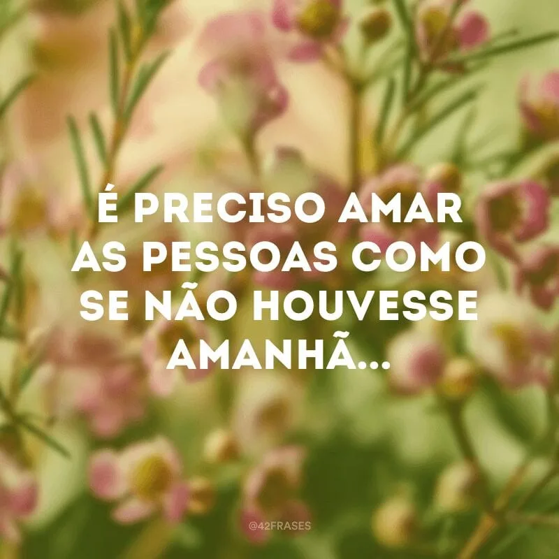 É preciso amar as pessoas como se não houvesse amanhã...