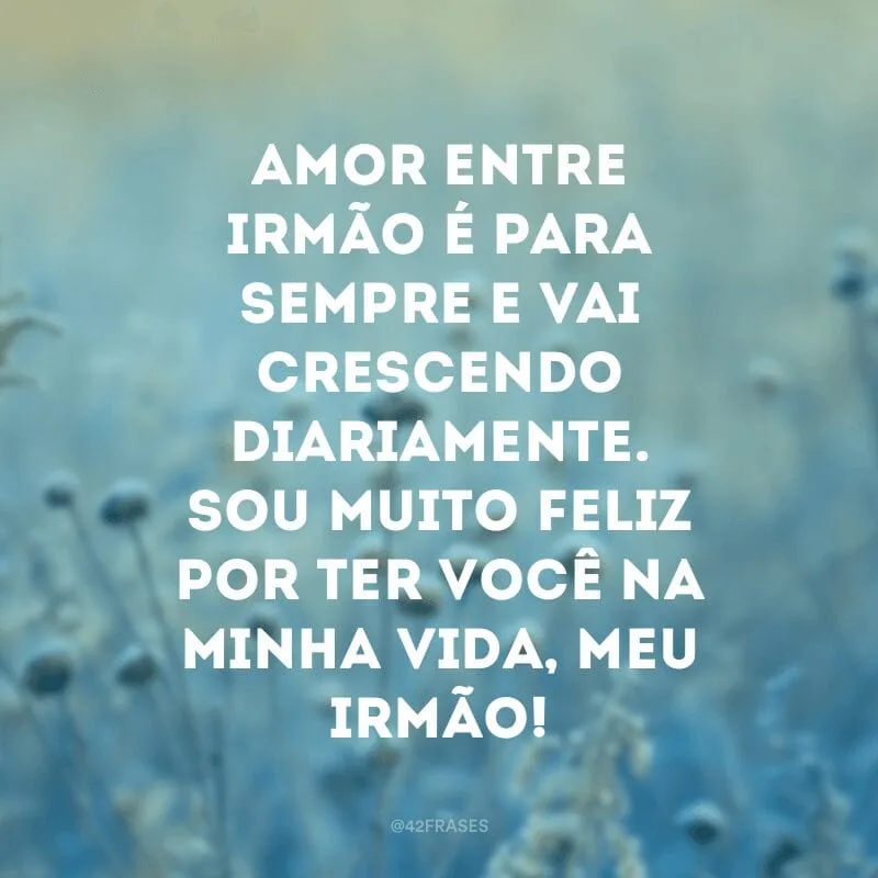 Amor entre irmão é para sempre e vai crescendo diariamente. Sou muito feliz por ter você na minha vida, meu irmão!