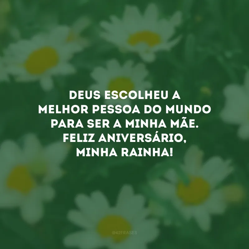 Deus escolheu a melhor pessoa do mundo para ser a minha mãe. Feliz aniversário, minha rainha!