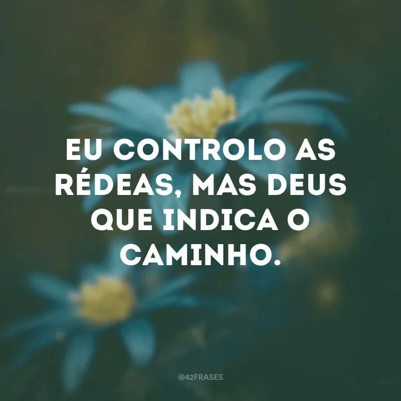 Eu controlo as rédeas, mas Deus que indica o caminho.