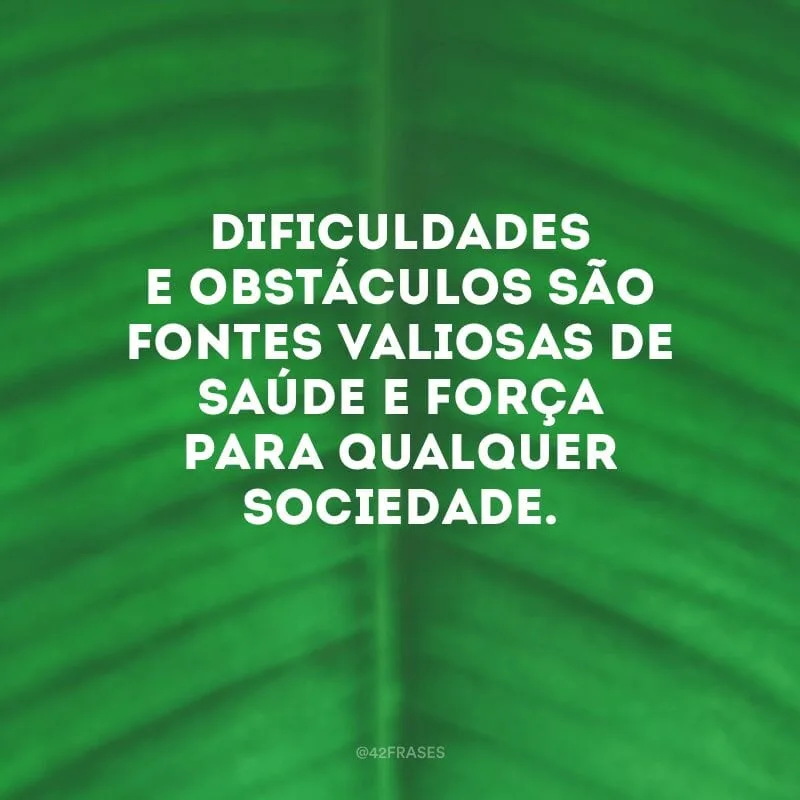 Dificuldades e obstáculos são fontes valiosas de saúde e força para qualquer sociedade.
