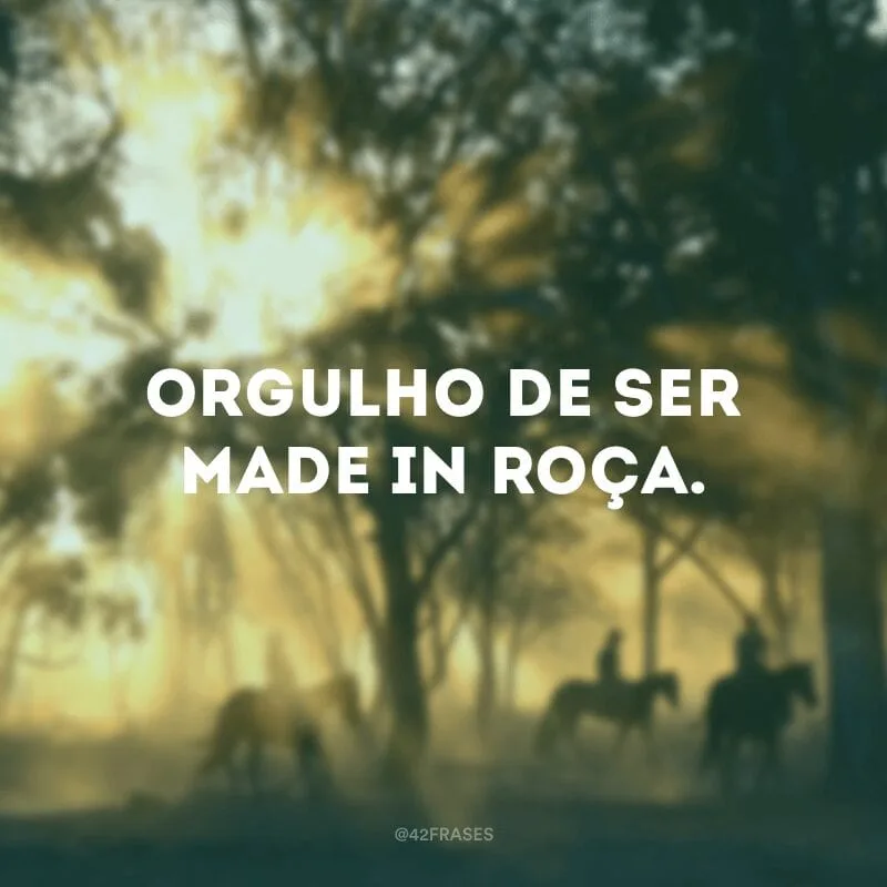 Orgulho de ser made in roça.