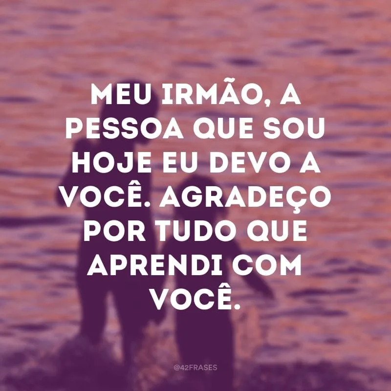 Meu irmão, a pessoa que sou hoje eu devo a você. Agradeço por tudo que aprendi com você.