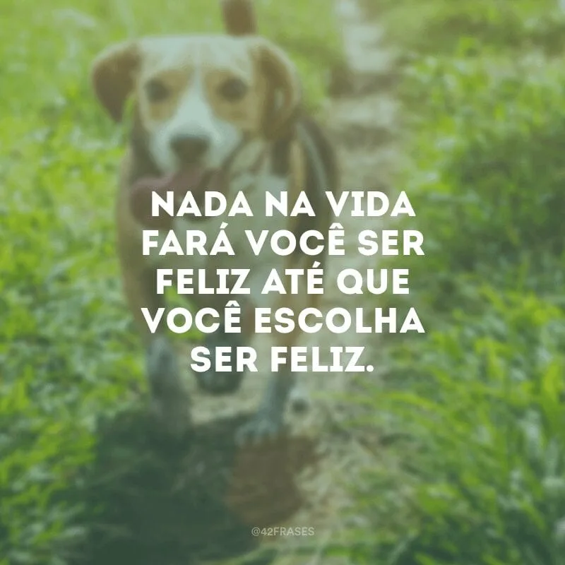 Nada na vida fará você ser feliz até que você escolha ser feliz.