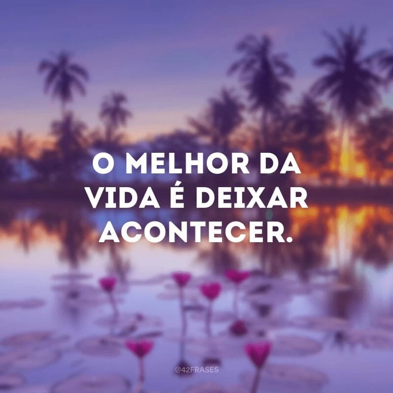 O melhor da vida é deixar acontecer.