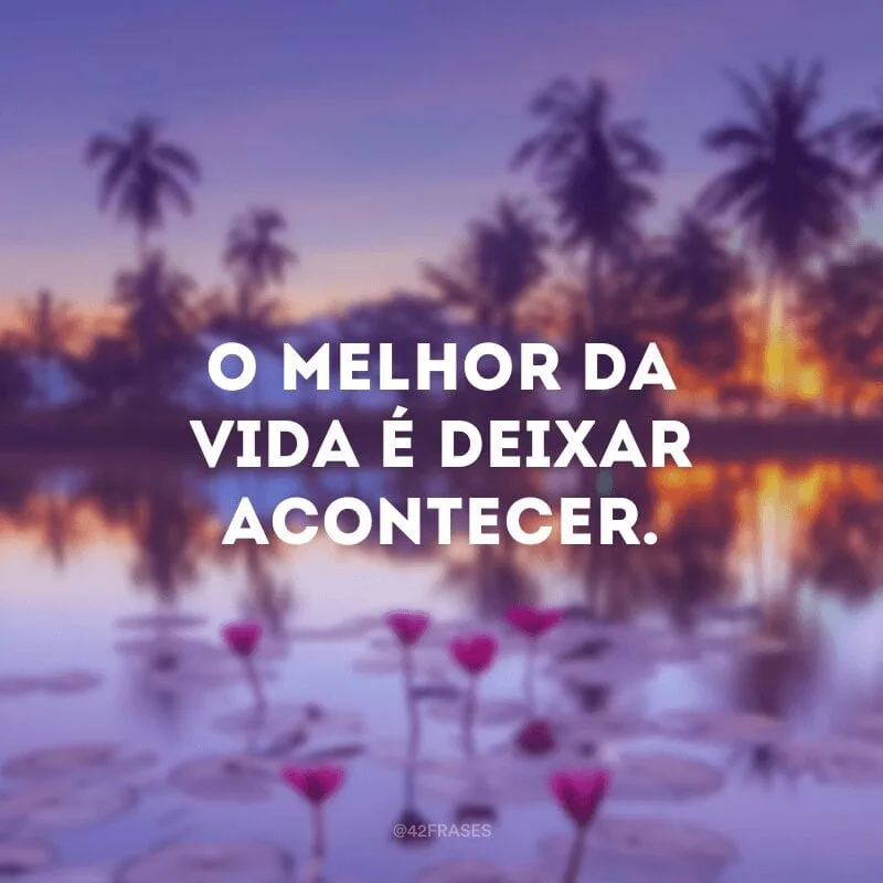 O melhor da vida é deixar acontecer.