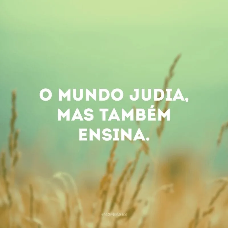 O mundo judia, mas também ensina.