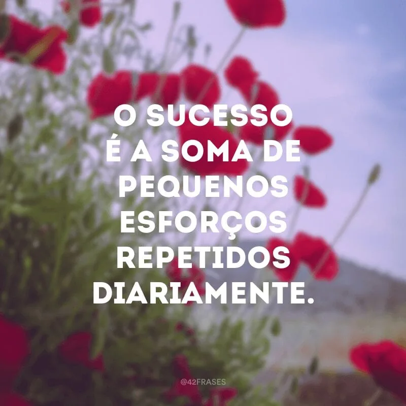 O sucesso é a soma de pequenos esforços repetidos diariamente.