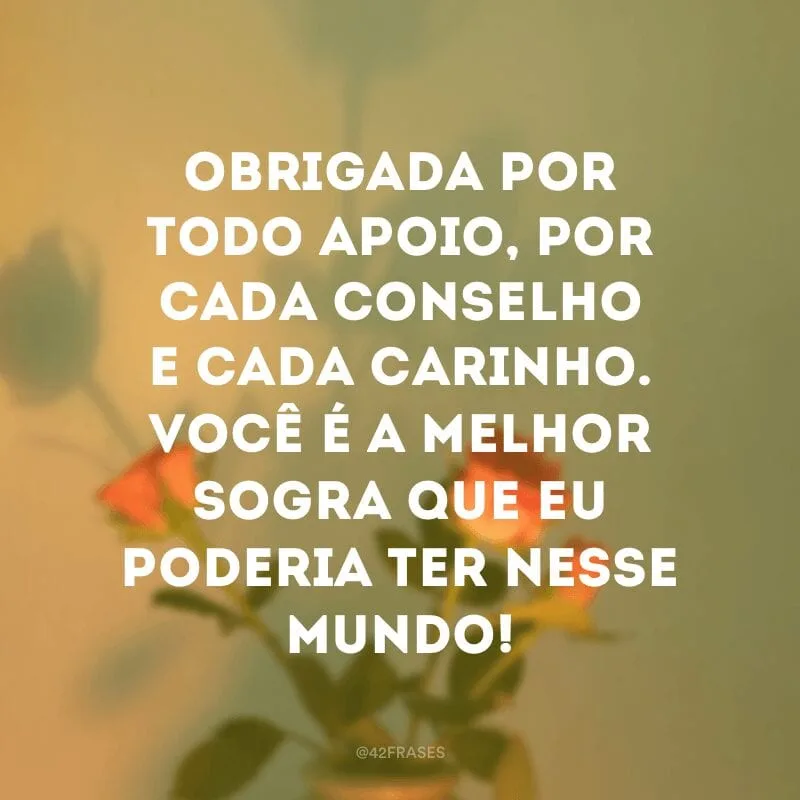 Obrigada por todo apoio, por cada conselho e cada carinho. Você é a melhor sogra que eu poderia ter nesse mundo!